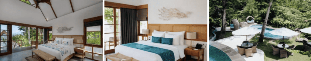 Deep Roots Dive & Yoga Resort