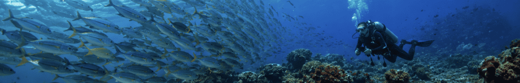 Bali to Labuan Bajo: Flights, Prices and Tips