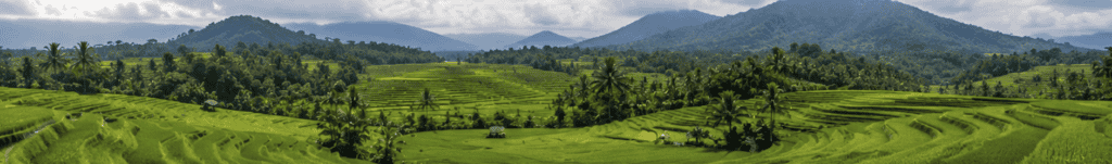 Jakarta to Labuan Bajo: Flights, Prices and Tips