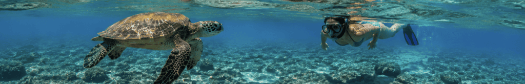 Bali Travel Guide: Where to Stay, Things to Do & Travel Tips