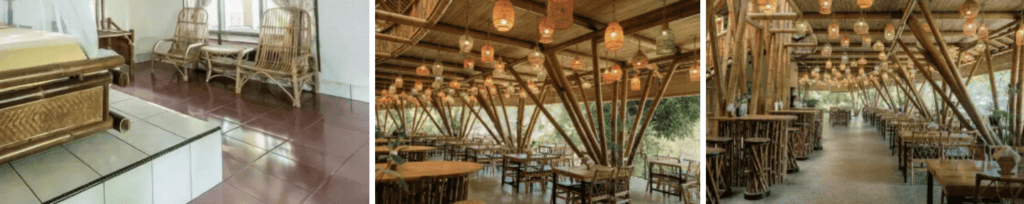 Ecolodge Bukit Lawang